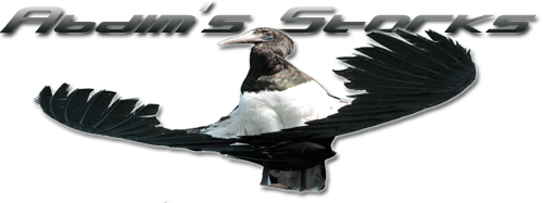 Abdim's Storck's