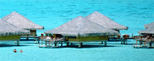 Florida Resorts