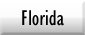 Florida Holiday Review