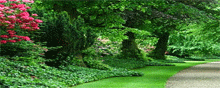 Florida Park