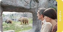 Florida Zoo