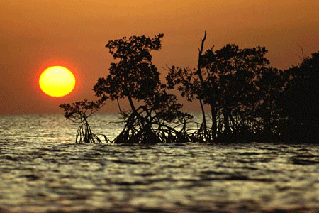 florida national park